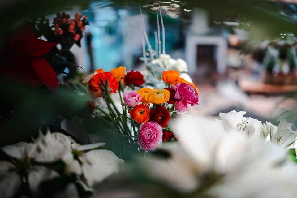 fleurs fraîches à Masevaux-Niederbruck