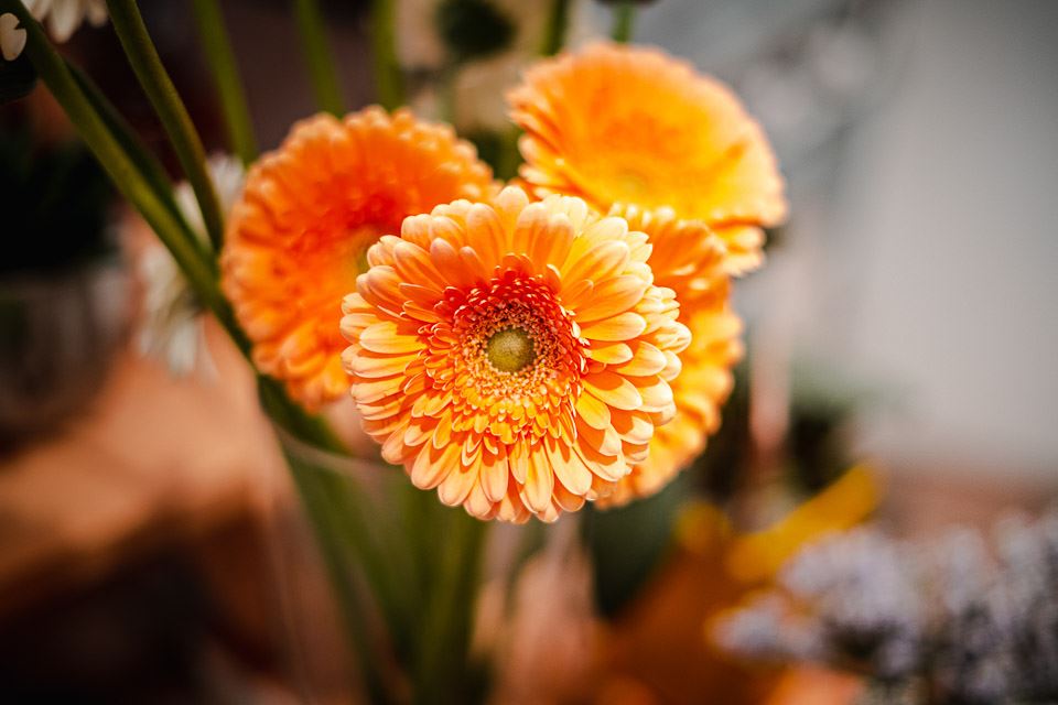 fleurs fraîches à Masevaux-Niederbruck